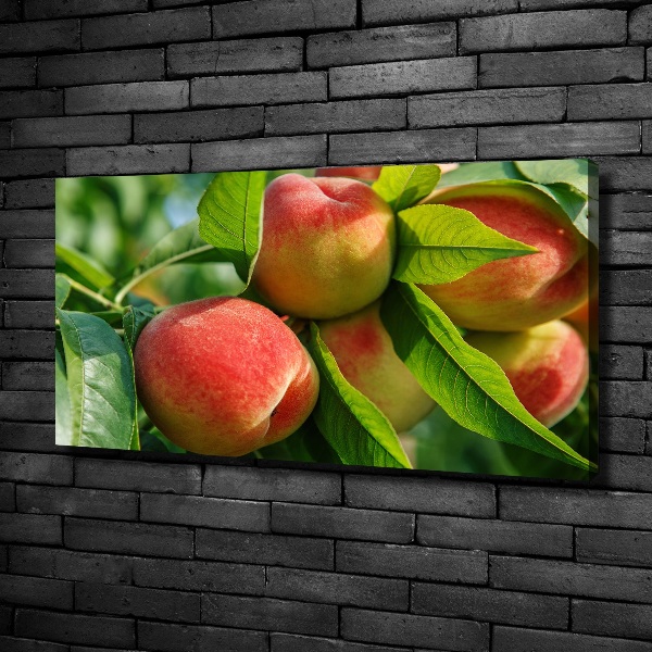 Canvas wall art Peaches