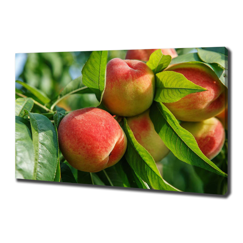 Canvas wall art Peaches