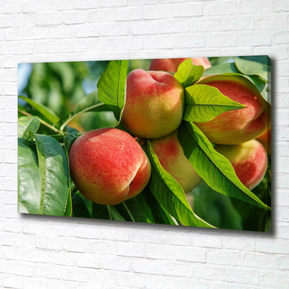 Canvas wall art Peaches