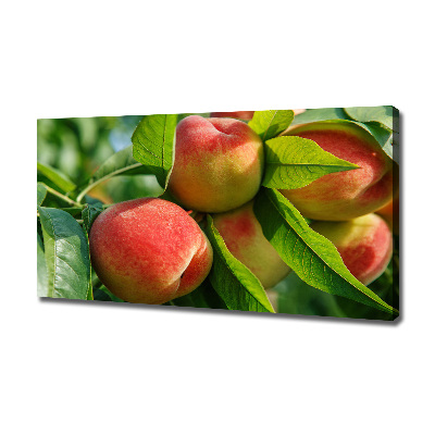 Canvas wall art Peaches