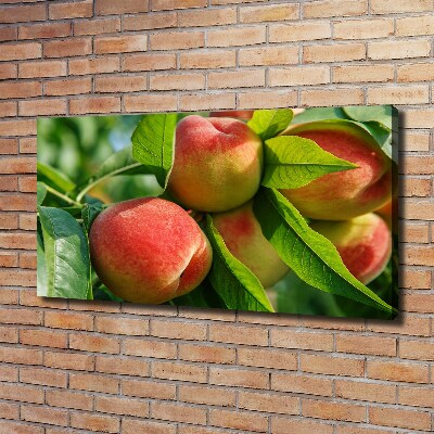 Canvas wall art Peaches