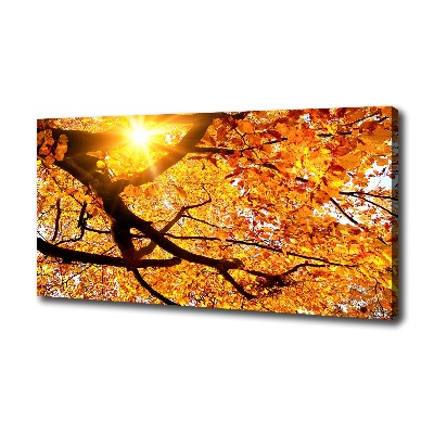 Canvas wall art Crown of trees autumn