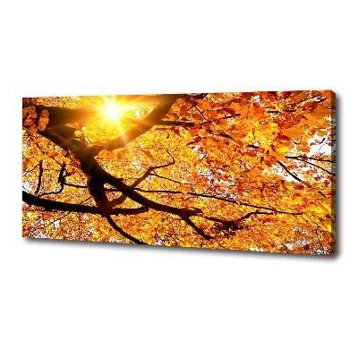 Canvas wall art Crown of trees autumn