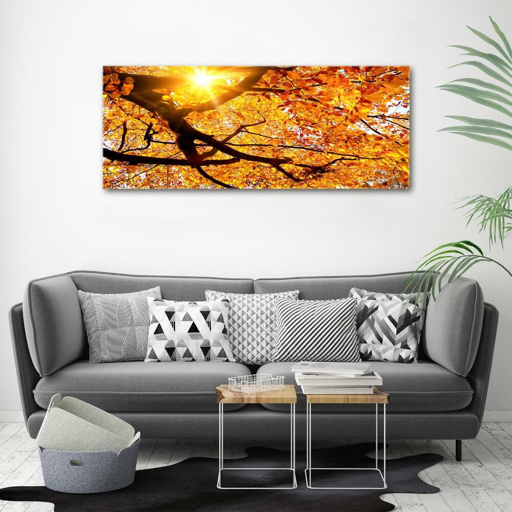 Canvas wall art Crown of trees autumn