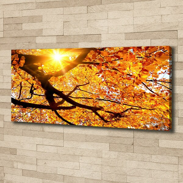 Canvas wall art Crown of trees autumn