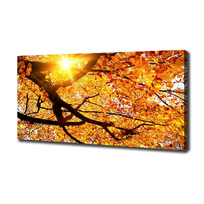 Canvas wall art Crown of trees autumn