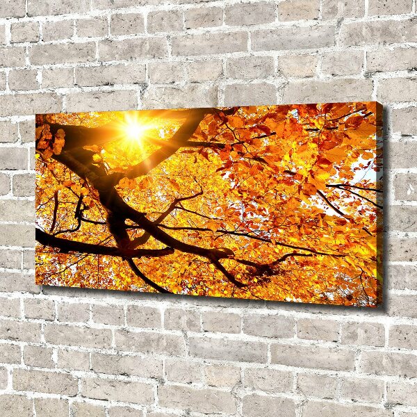 Canvas wall art Crown of trees autumn