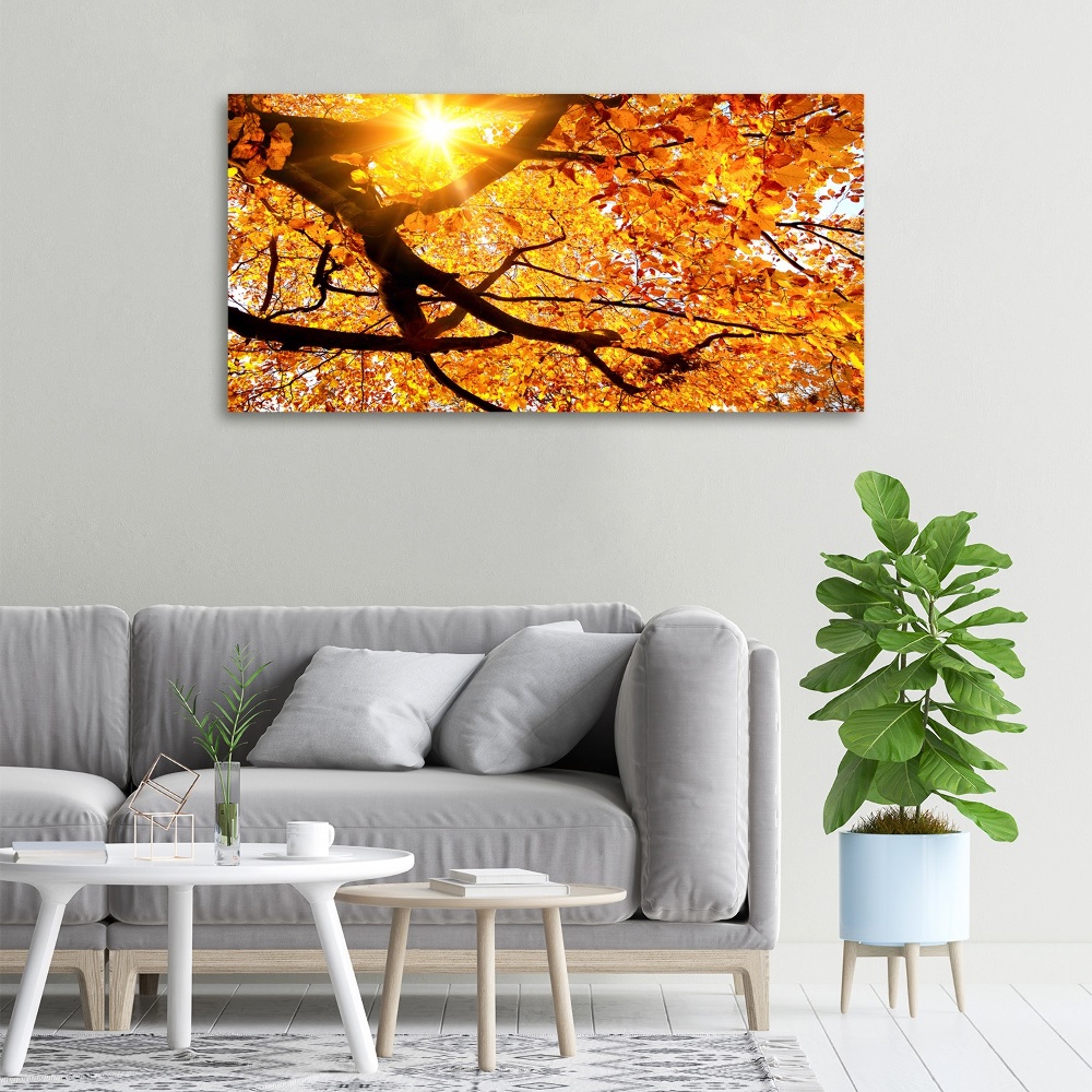 Canvas wall art Crown of trees autumn