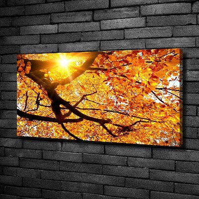 Canvas wall art Crown of trees autumn