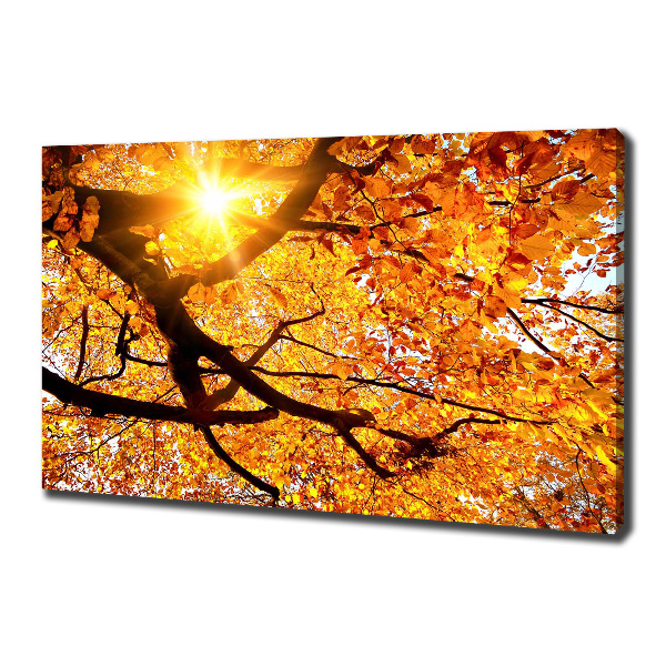 Canvas wall art Crown of trees autumn