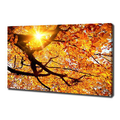 Canvas wall art Crown of trees autumn