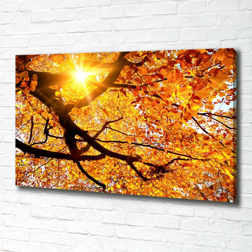 Canvas wall art Crown of trees autumn