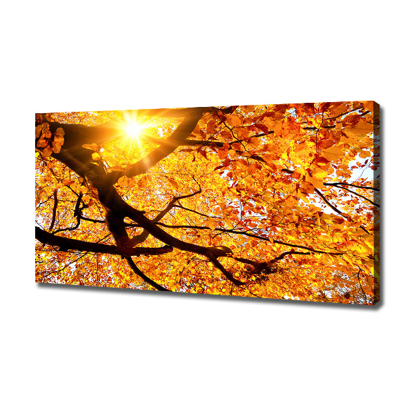 Canvas wall art Crown of trees autumn