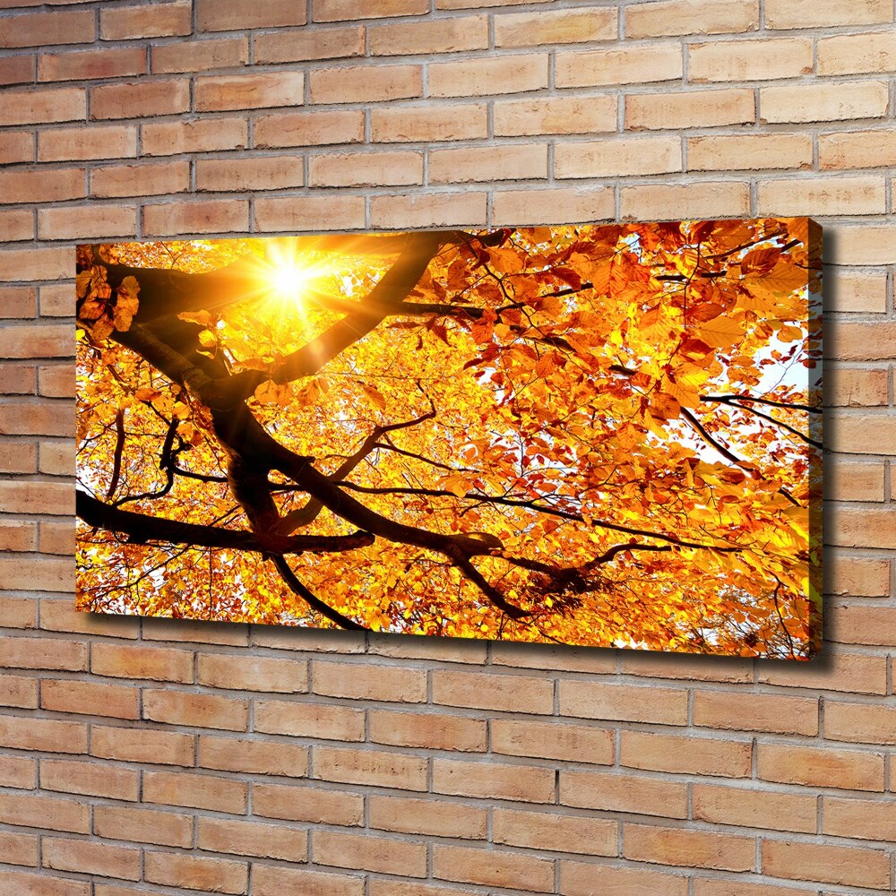 Canvas wall art Crown of trees autumn