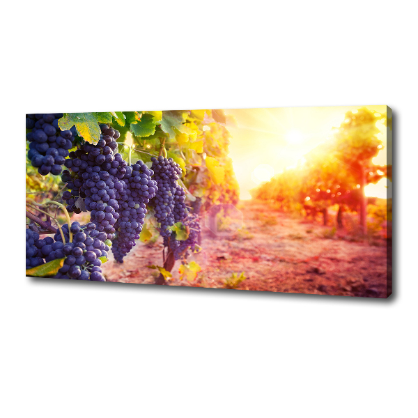 Canvas wall art Vines