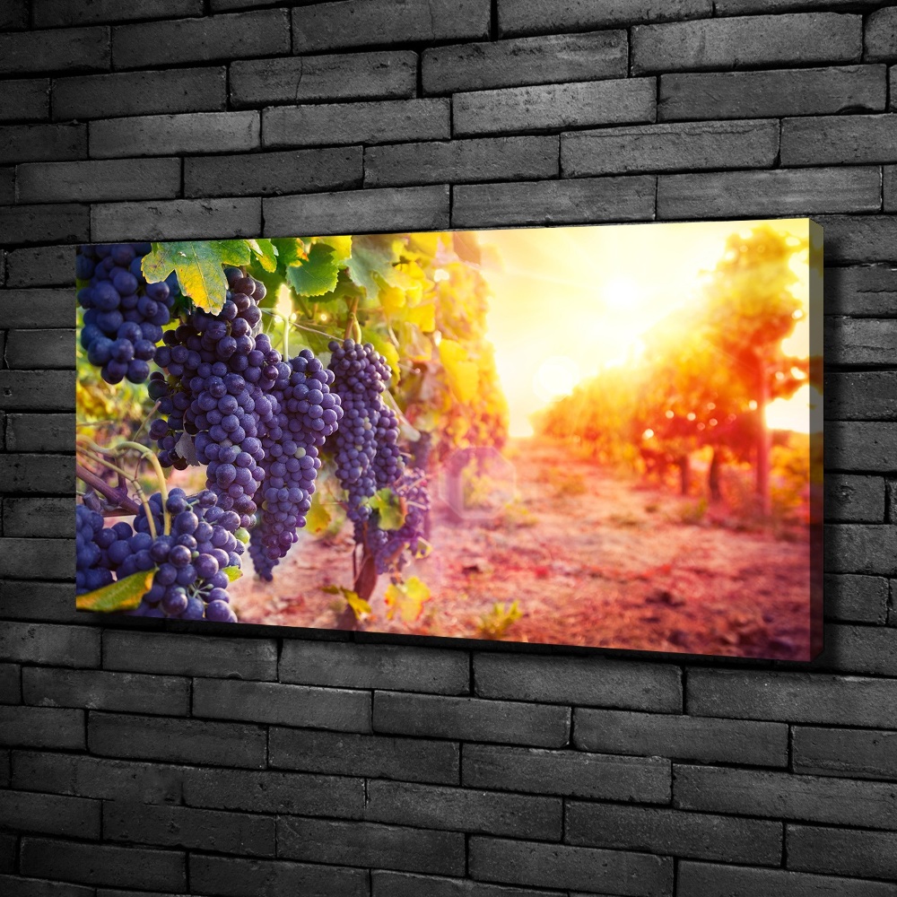 Canvas wall art Vines