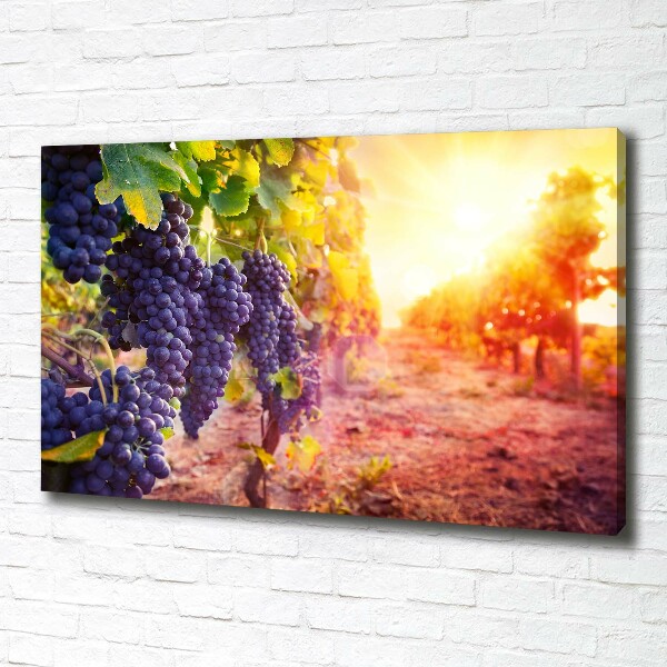 Canvas wall art Vines