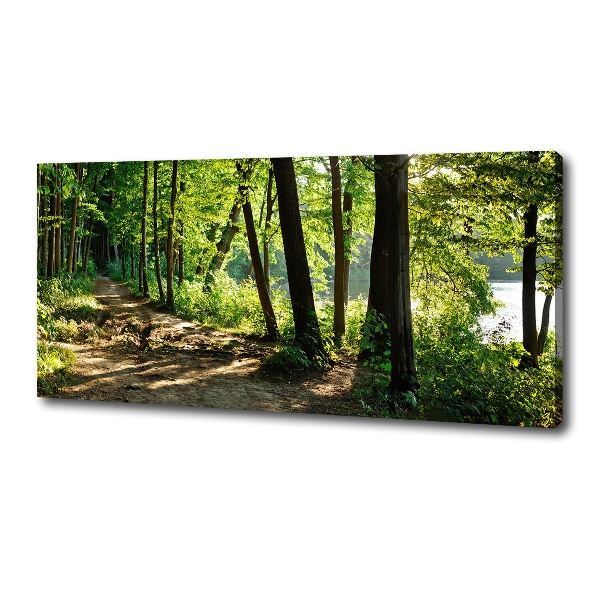 Canvas wall art Path in the meadow