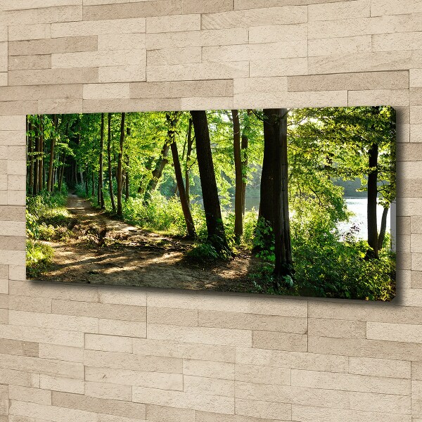 Canvas wall art Path in the meadow