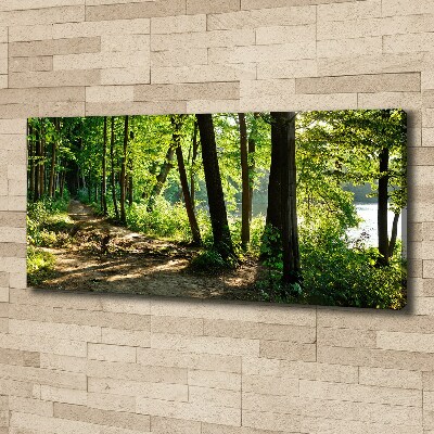 Canvas wall art Path in the meadow