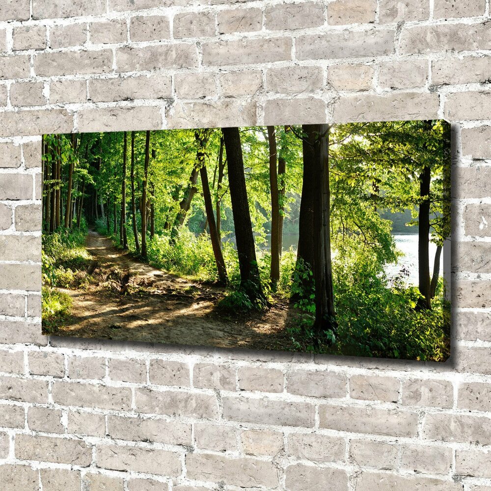 Canvas wall art Path in the meadow