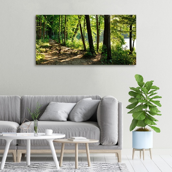 Canvas wall art Path in the meadow