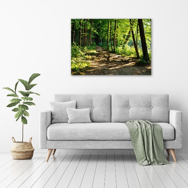 Canvas wall art Path in the meadow