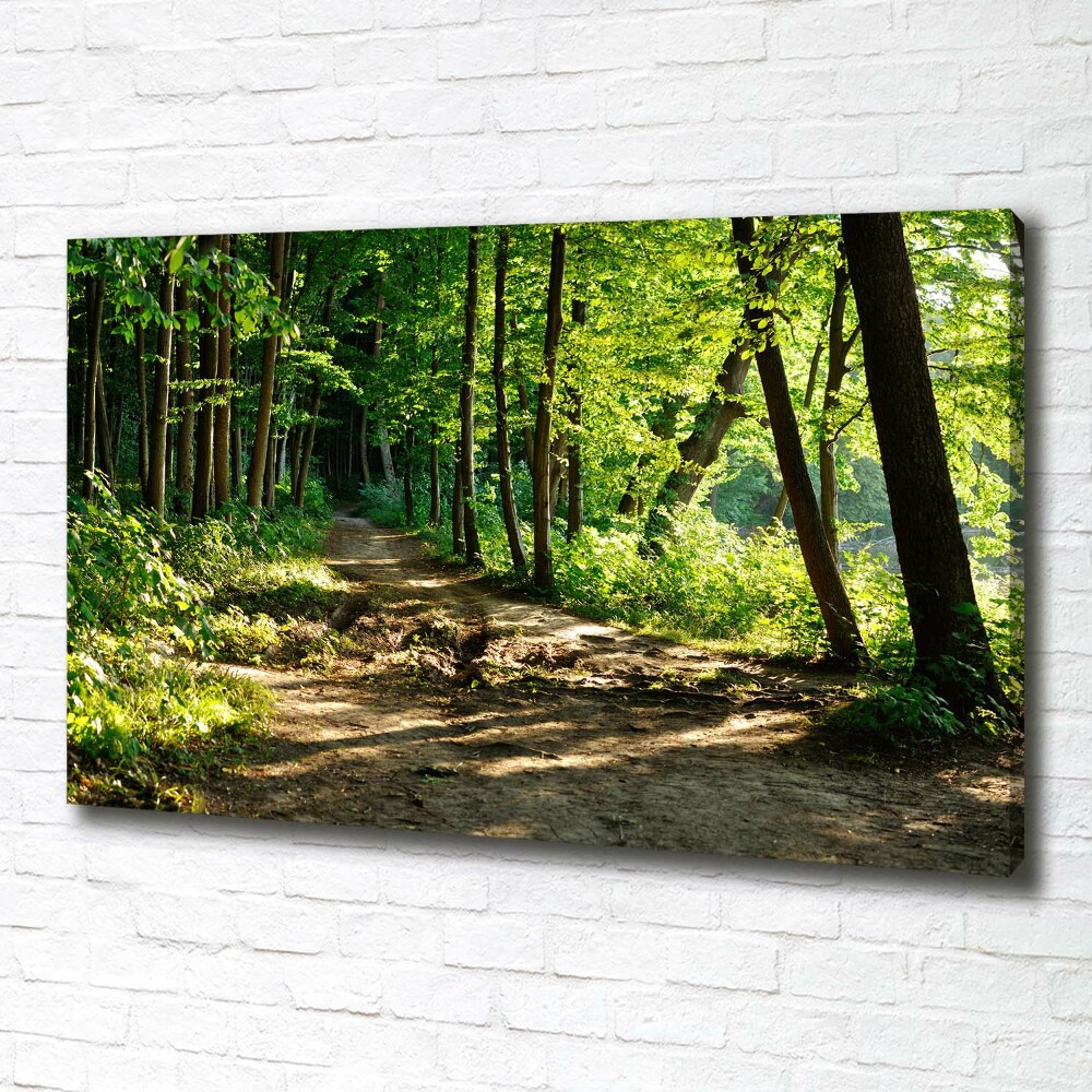 Canvas wall art Path in the meadow