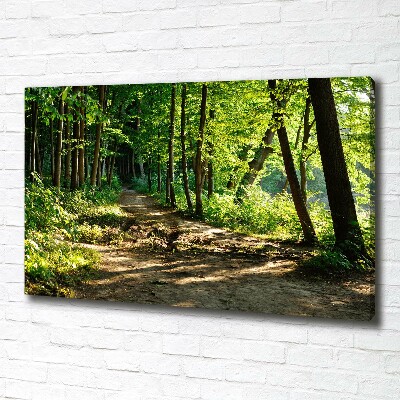 Canvas wall art Path in the meadow