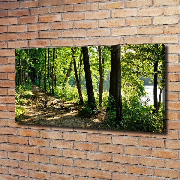 Canvas wall art Path in the meadow