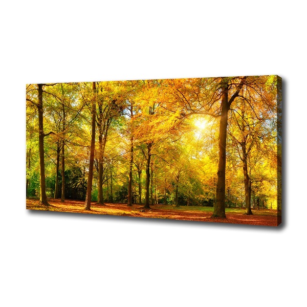 Forest in autumn
