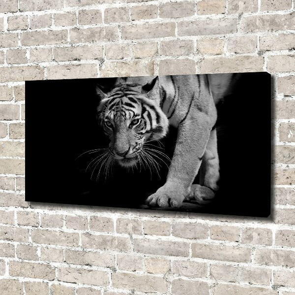 Canvas wall art Tiger