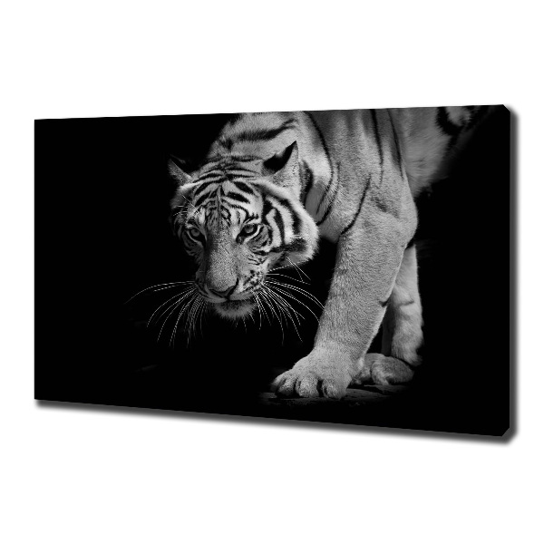 Canvas wall art Tiger