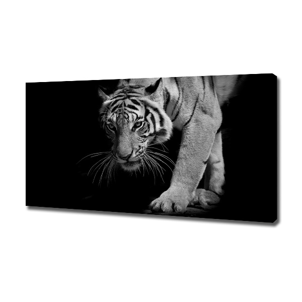 Canvas wall art Tiger