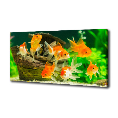 Canvas wall art Golden Fish