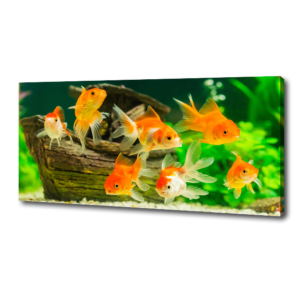 Canvas wall art Golden Fish