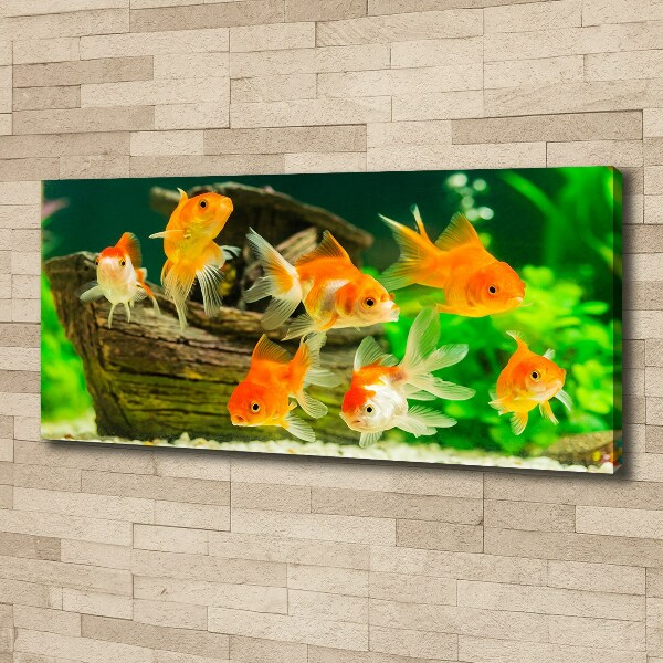 Canvas wall art Golden Fish