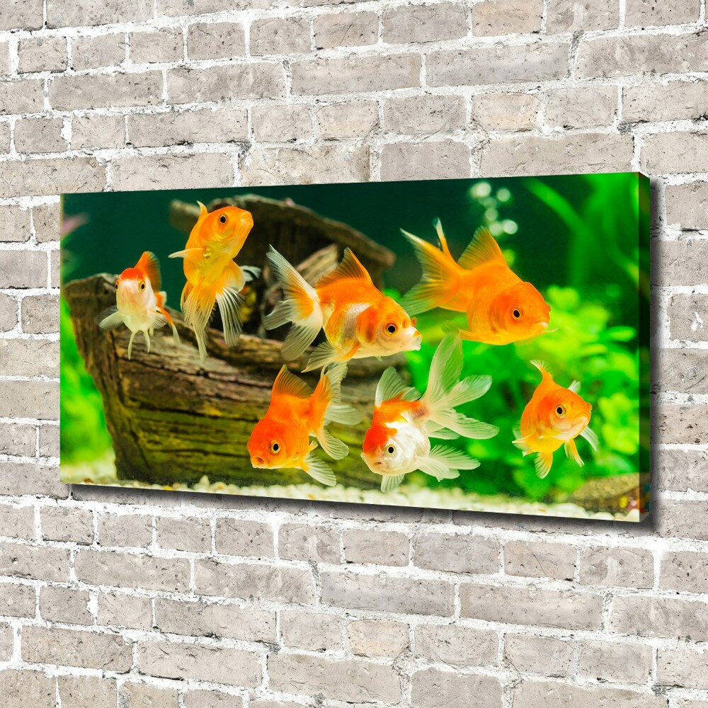 Canvas wall art Golden Fish