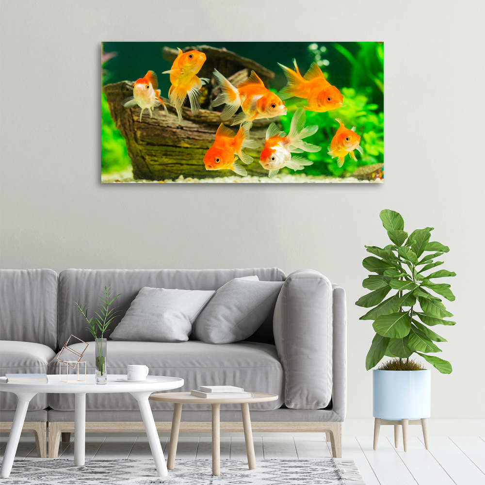 Canvas wall art Golden Fish