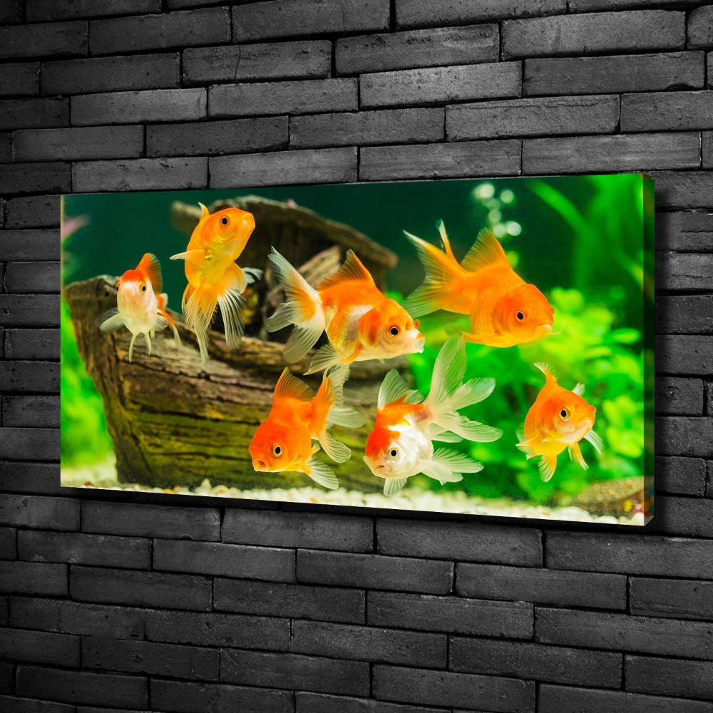 Canvas wall art Golden Fish