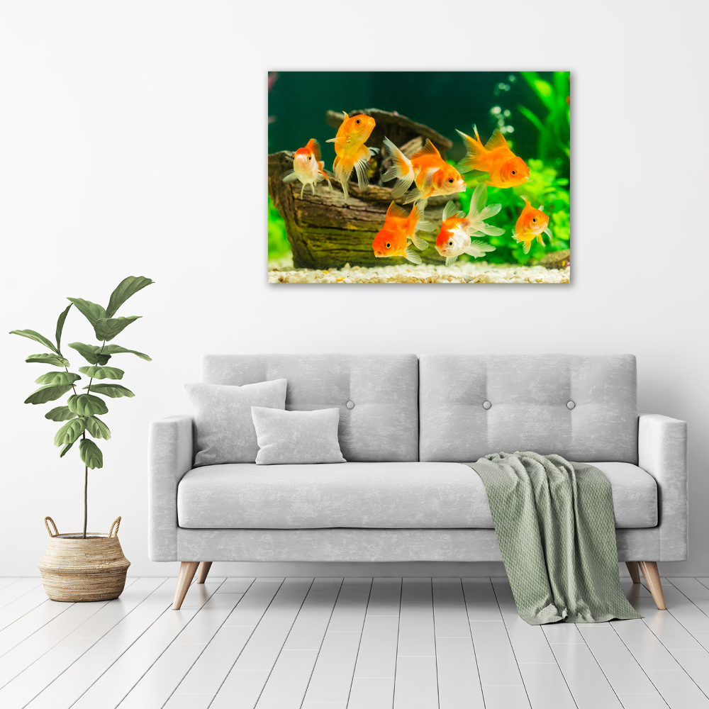 Canvas wall art Golden Fish