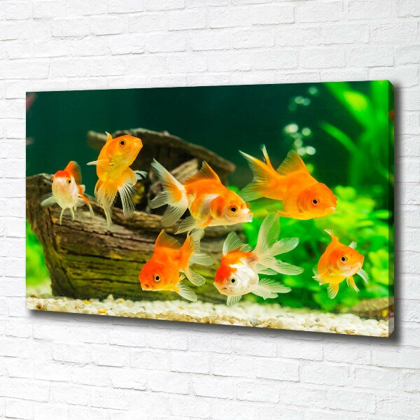 Canvas wall art Golden Fish