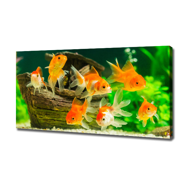 Canvas wall art Golden Fish