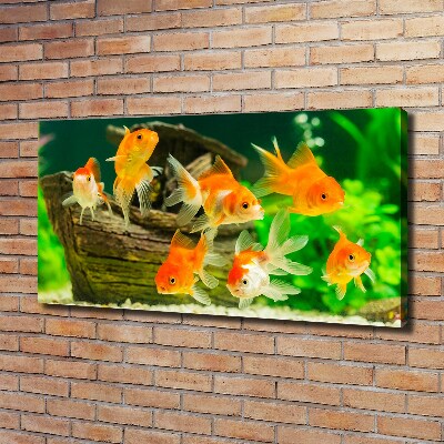 Canvas wall art Golden Fish