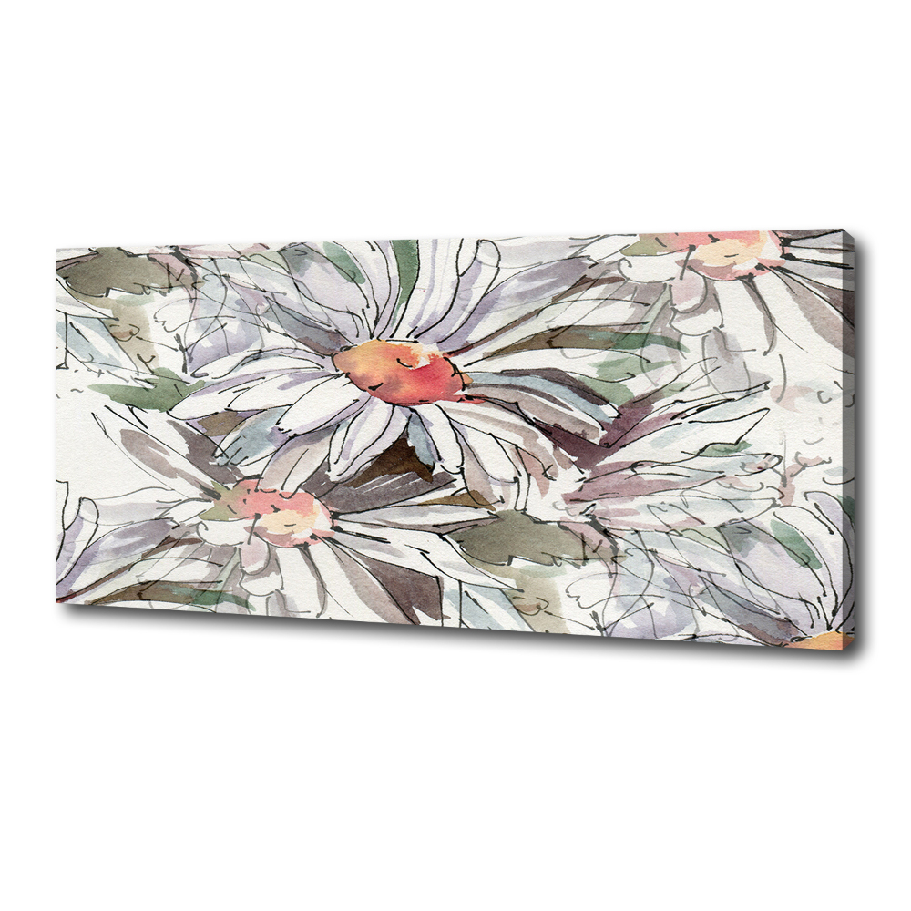 Canvas wall art Chamomile