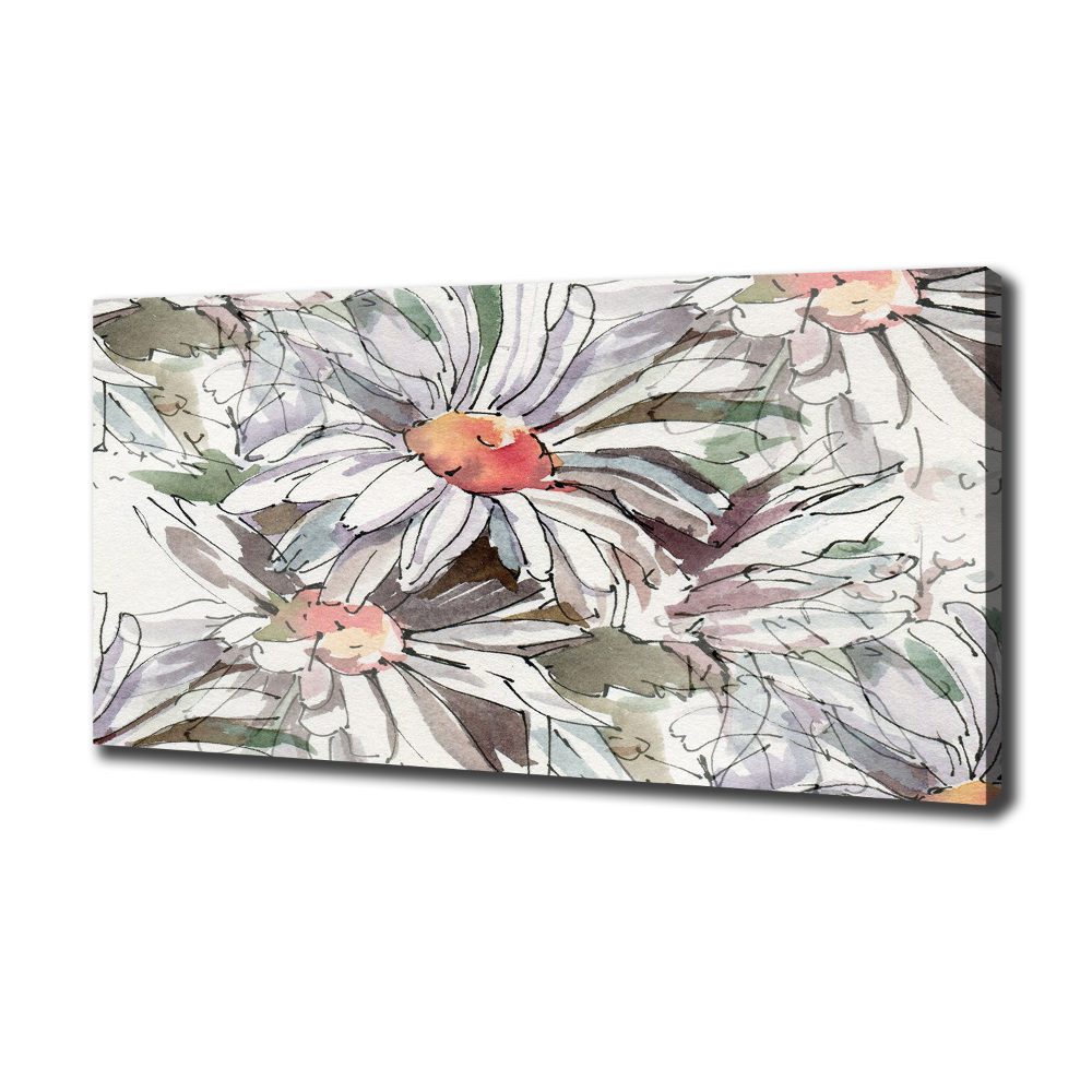 Canvas wall art Chamomile