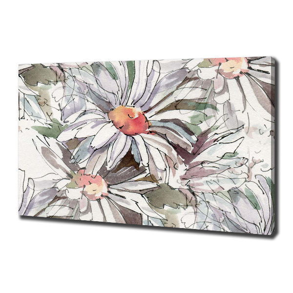 Canvas wall art Chamomile