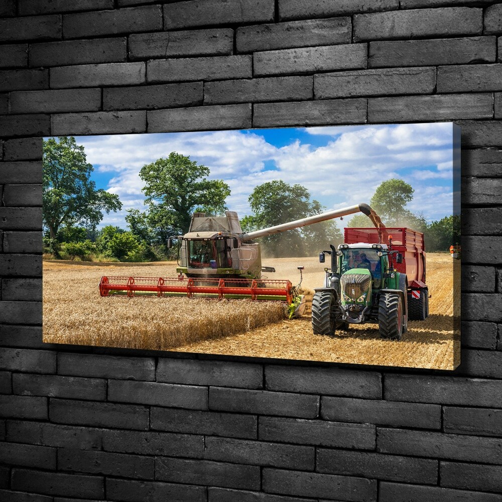 Canvas wall art Harvester and tractor