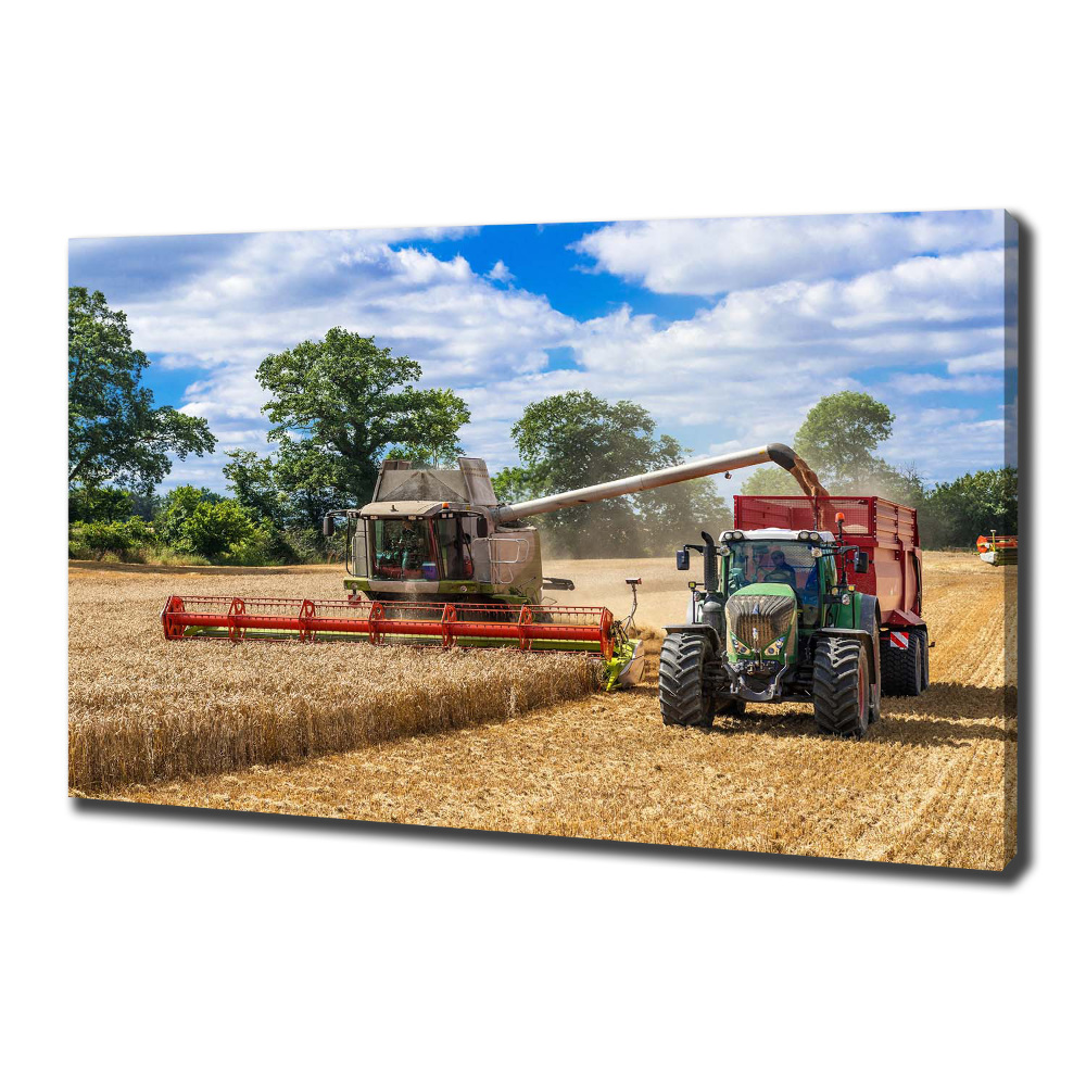 Canvas wall art Harvester and tractor