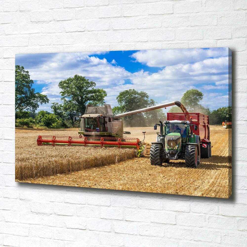 Canvas wall art Harvester and tractor